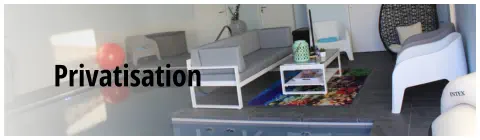 Privatisation