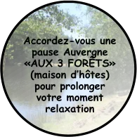 Accordez-vous une pause Auvergne «AUX 3 FORÊTS» (maison d’hôtes) pour prolonger  votre moment relaxation